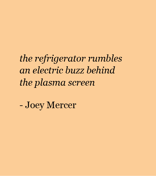 A light peach background with black text reading: the refrigerator rumbles an electric buzz behind the plasma screen —Joey Mercer