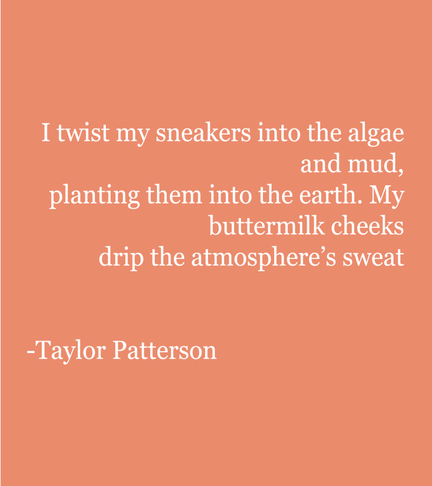 Coral background with white text reading: I twist my sneakers into the algae and mud, planting them into the earth. My buttermilk cheeks drip the atmosphere’s sweat --Taylor Patterson