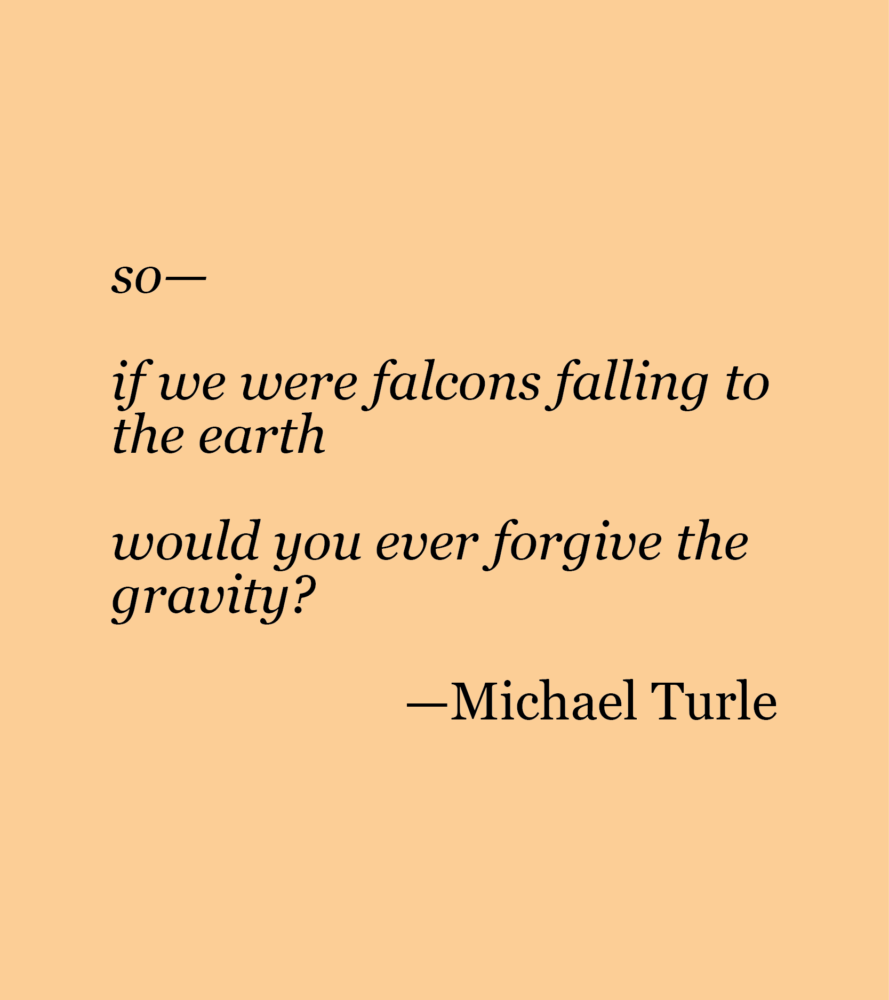 Peach background with black text reading: so— if we were falcons falling to the earth would you ever forgive the gravity? --Michael Turle